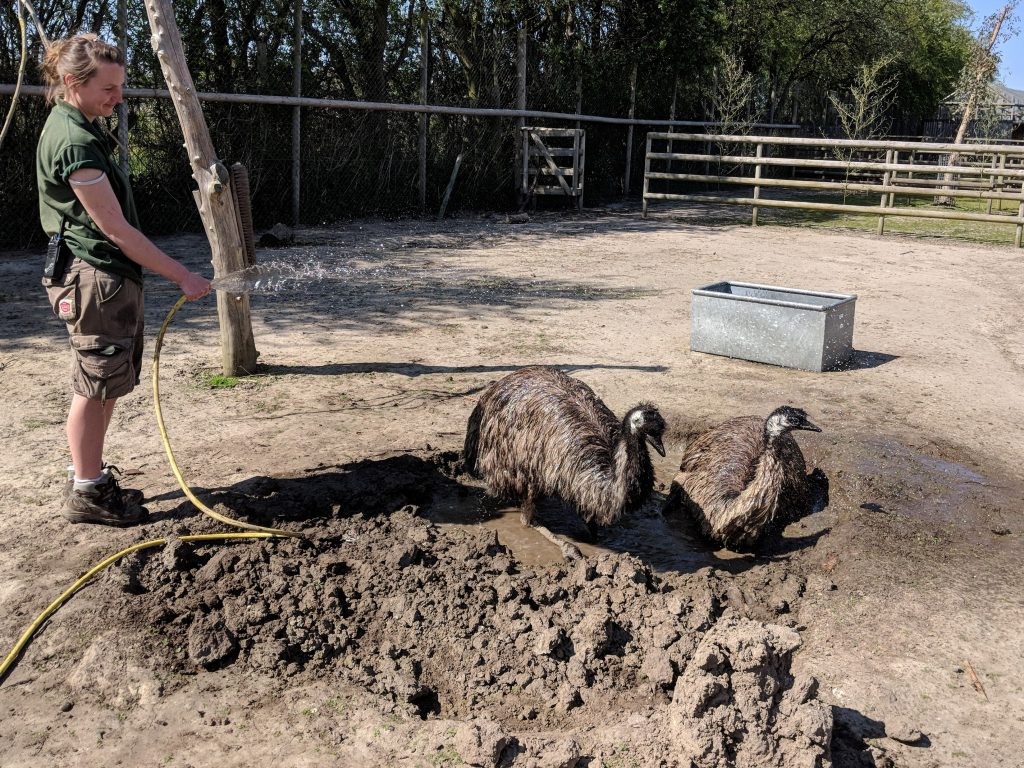 Emu enrichment 