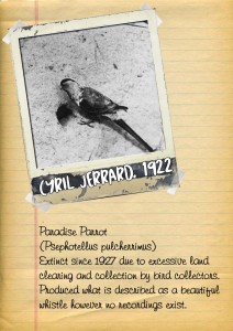 Paradise Parrot A4