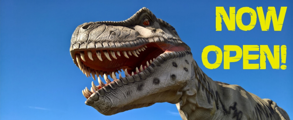 Animal Experiences At Wingham Wildlife Park In Kent