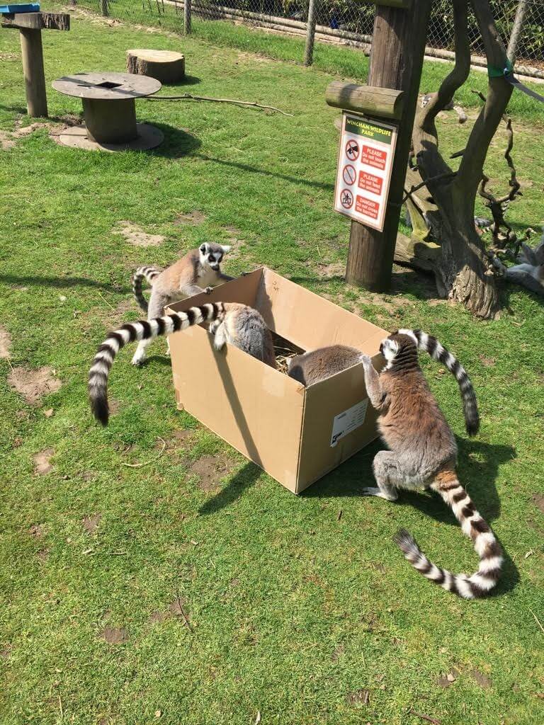 Wingham Wildlife Park Zookeeper