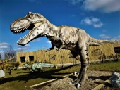 Tyrannosaurus-Rex T-Rex at Wingham Wildlife Park