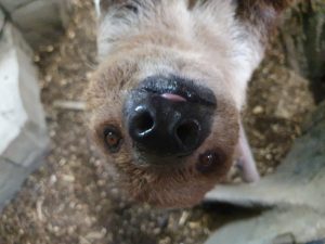 9aeb823d-3014-4366-b56b-27e9348e38e9