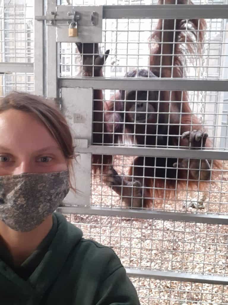 Meet the team at Wingham Wildlife Park, Kent
