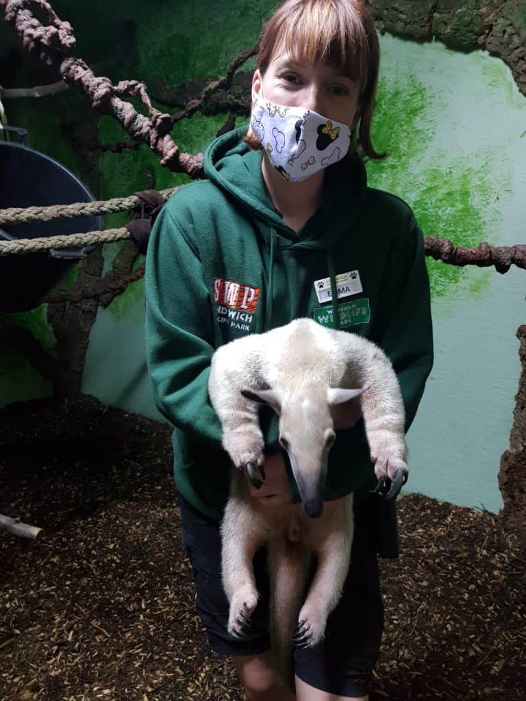 Primate keepers at Wingham Wildlife Park, Kent