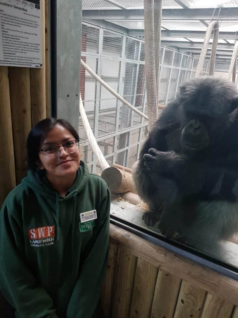 Meet the team at Wingham Wildlife Park, Kent