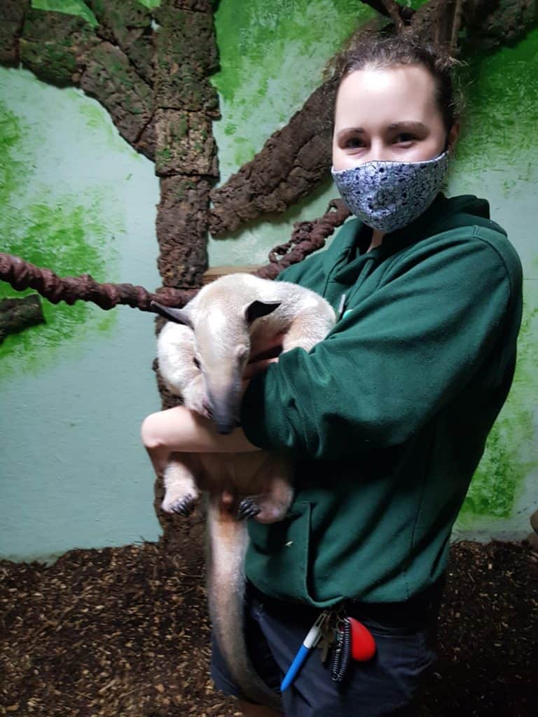 Primate keepers at Wingham Wildlife Park, Kent