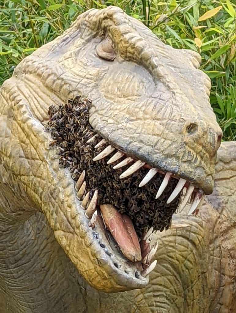 A large model velociraptor has his mouth full of bees who have swarmed