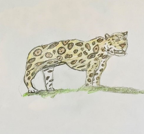 A child's drawing of a jaguar. There is a small patch of green grass under the jaguar's yellow feet. The jaguar is coloured in yellow with black circles and dots in the centre of them to represent the spots (rosettes).
