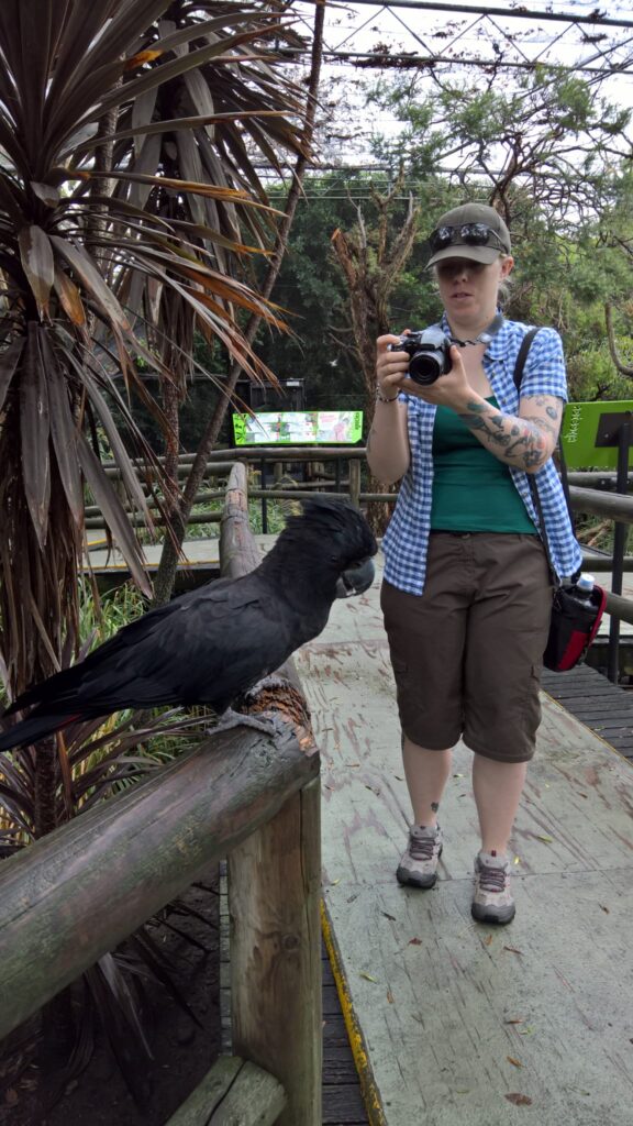 A female with a camera in her hands taking photos of a bird.